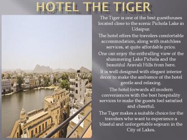 Hotel The Tiger