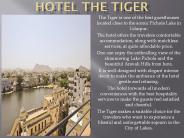 Hotel The Tiger
