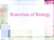 Branches of Biology