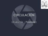 CIRCULACI
