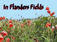 In Flanders Fields