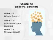 Chapter 12 Emotional Behaviors