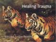 Healing Trauma PowerPoint PPT Presentation
