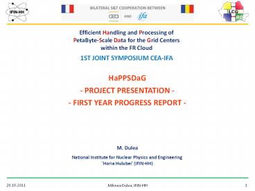 Mihnea Dulea, IFIN-HH