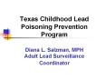 Texas Childhood Lead Poisoning Prevention Program Diana L. Salzman, MPH Adult Lead Surveillance Coordinator PowerPoint PPT Presentation