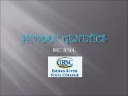 Human%20Genetics