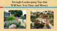 Drought Landscaping Tips that Will Save You Time and Money PowerPoint PPT Presentation