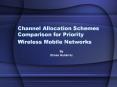 Channel Allocation Schemes Comparison for Priority Wireless Mobile Networks PowerPoint PPT Presentation