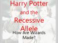 Harry Potter and the Recessive Allele PowerPoint PPT Presentation