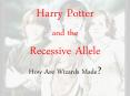 Harry Potter and the Recessive Allele PowerPoint PPT Presentation