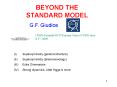 BEYOND THE STANDARD MODEL PowerPoint PPT Presentation