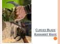 Curved blade karambit knife PowerPoint PPT Presentation