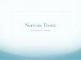 Nervous Tissue PowerPoint PPT Presentation