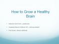 How to Grow a Healthy Brain PowerPoint PPT Presentation