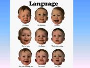 Language