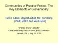 Communities%20of%20Practice%20Project:%20The%20Key%20Elements%20of%20Sustainability PowerPoint PPT Presentation