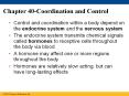 Chapter 40-Coordination and Control PowerPoint PPT Presentation