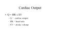 Cardiac Output PowerPoint PPT Presentation
