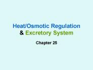 Heat/Osmotic Regulation