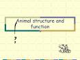 Animal structure and function PowerPoint PPT Presentation