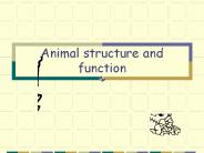 Animal structure and function