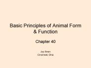 Basic Principles of Animal Form