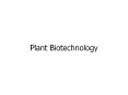Plant%20Biotechnology PowerPoint PPT Presentation