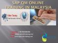 sap qm online training and certification PowerPoint PPT Presentation