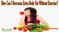 How Can I Decrease Extra Body Fat Without Exercise? PowerPoint PPT Presentation