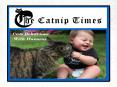 Cats Behaviour With Humans PowerPoint PPT Presentation