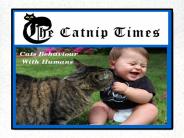 Cats Behaviour With Humans