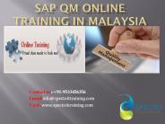 sap qm  online training in malaysia