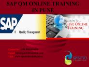 sap qm online training in pune