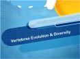 Vertebrae Evolution PowerPoint PPT Presentation