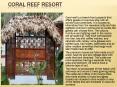 Coral Reef Resort PowerPoint PPT Presentation