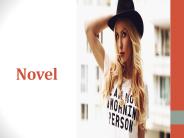 Novel