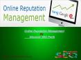 Online Reputation Management | Discover SEO Perth PowerPoint PPT Presentation