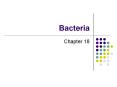Bacteria PowerPoint PPT Presentation