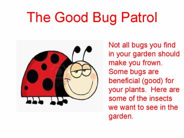 The Good Bug Patrol