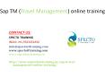 sap tm(travel management)online training PowerPoint PPT Presentation