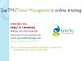 Sap TM(travel management) online training in usa,uk,australia,canada,southafrica,malaysia,dubai. PowerPoint PPT Presentation