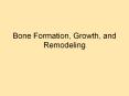 Bone Formation, Growth, and Remodeling PowerPoint PPT Presentation