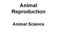 Animal Reproduction Animal Science PowerPoint PPT Presentation