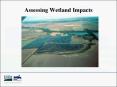 Assessing Wetland Impacts PowerPoint PPT Presentation