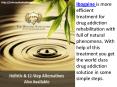 Ibogaine by The holistic sanctuary Johnny the Healer PowerPoint PPT Presentation
