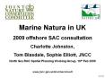 www.jncc.gov.uk/marineconsult PowerPoint PPT Presentation