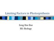 Limiting Factors in Photosynthesis