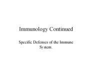 Immunology Continued