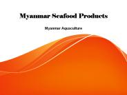 Myanmar Seafood