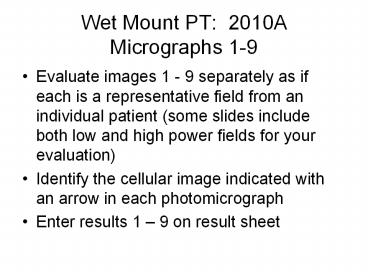Wet Mount PT: 2010A Micrographs 1-9